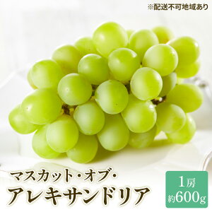 yӂ邳Ɣ[ŁzԂǂ 2025N s\ }XJbg EIuEALThA 600g×1[ uhE  RY Y t[c ʕ Mtg R̃uhE fU[g Hו {Y @͂F