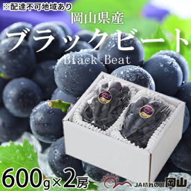 【ふるさと納税】ぶどう 2024年 先行予約 ブラックビート 約600g×2房 ブドウ 葡萄 岡山県産 国産 フルーツ 果物 ギフト　【 果物 フルーツ 岡山のブドウ デザート 食べ物 国産 日本産 】　お届け：2024年8月中旬～2024年9月上旬