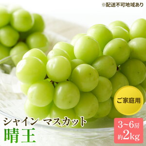 yӂ邳Ɣ[ŁzԂǂ 2025N s\ ƒp VC }XJbg  3`6[ 2kg uhE  RY Y t[c ʕ z  O 嗱 x Ȃ 炲 e H 