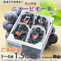 楽天市場】ピオーネ 5キロの通販