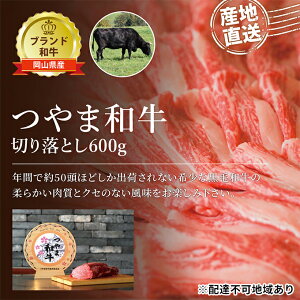 yӂ邳Ɣ[Łz a ؂藎Ƃ 600g   ~[g  Yn R јa RY  _炩 NẐȂ uh ܘa 
