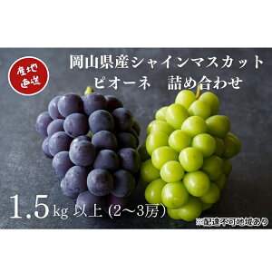 yӂ邳Ɣ[ŁzI VC}XJbgEj[sI[l 2`3[ v1.5kgȏ l Yn ̂ Ԃǂ  Kawahara Green Farm RY 2025N ʕ t[c lC Â Zbg @