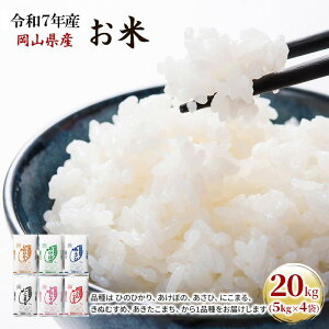 yӂ邳Ɣ[Łzߘa7NY  20kgi5kg×4܁j ܂ Ђ̂Ђ  ɂ܂ ڂ ʂނ A   CX Pꌴ  R uh @͂F2025N1