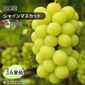 yӂ邳Ɣ[ŁzԂǂ 2025N s\ VC }XJbg 1[ 700g Ԃǂ t[c ʕ 蕨 Mtg R ܉ʉ _ Â  lC Ȃ 炲 i œK @͂F202