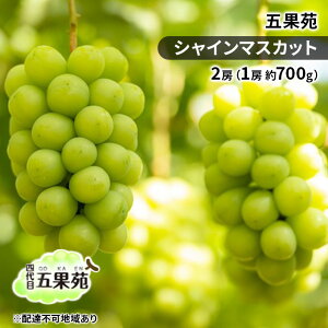 yӂ邳Ɣ[ŁzԂǂ 2025N s\ VC }XJbg 2[i1[ 700gj Ԃǂ t[c ʕ 蕨 Mtg R ܉ʉ _ Â  lC Ȃ 炲 i œK @