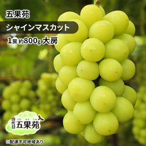 yӂ邳Ɣ[ŁzԂǂ 2025N s\ VC}XJbg 1[ 800g [ Ԃǂ t[c ʕ 蕨 Mtg R ܉ʉ _ Â  lC Ȃ 炲 i œK @͂