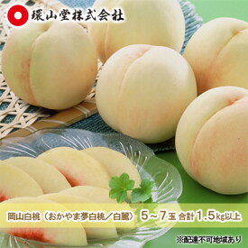【ふるさと納税】桃 2026年 先行予約 岡山 白桃（品種：おかやま夢白桃／白麗）5～7玉 合計1.5kg以上 もも モモ 岡山県産 国産 フルーツ 果物 ギフト 環山堂 　お届け：2026年7月下旬～2026年8月上旬