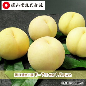 【ふるさと納税】桃 2026年 先行予約 岡山 清水 白桃 5～7玉 合計1.5kg以上 もも モモ 岡山県産 国産 フルーツ 果物 ギフト 環山堂 　お届け：2026年7月中旬～2026年7月下旬