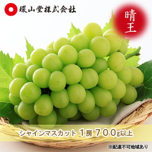 【ふるさと納税】ぶどう 2026年 先行予約 シャイン マスカット 晴王 1房 700g以上 マスカット ブドウ 葡萄 岡山県産 国産 フルーツ 果物 ギフト 環山堂  お届け:2026年9月上旬〜2026年10月上旬