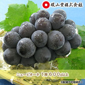 【ふるさと納税】ぶどう 2026年 先行予約 ニュー ピオーネ 1房 600g以上 ブドウ 葡萄 岡山県産 国産 フルーツ 果物 ギフト 環山堂 　お届け：2026年8月下旬～2026年9月下旬