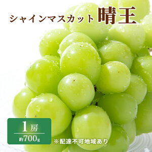 yӂ邳Ɣ[ŁzԂǂ 2025N s\ I VC }XJbg  1[ 700g uhE  RY Y t[c ʕ Mtg ͓ @͂F2025N8{`2025N10{
