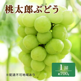 【ふるさと納税】ぶどう 2024年 先行予約 特選 桃太郎 ぶどう 1房 約700g ブドウ 葡萄 岡山県産 国産 フルーツ 果物 ギフト いろは堂　【玉野市】　お届け：2024年8月1日～2024年8月20日