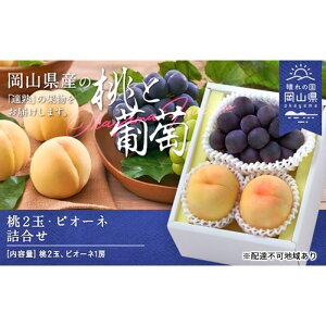 yӂ邳Ɣ[Łz Ԃǂ 2026N s\ ʕ l  Ӑ 2 j[ sI[l 1[ v1.0kg   RY Y t[c ʕ Mtg@͂F2026N8{`2026N9{