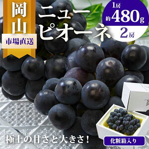 yӂ邳Ɣ[ŁzԂǂ 2025N s\ j[ sI[l 2[i1[480gȏj1kg ϔ uhE  RY Y t[c ʕ Mtg @͂F2025N8{`2025N10{