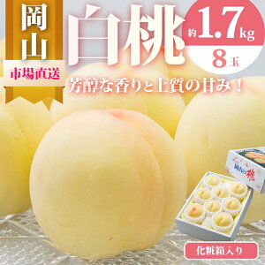 yӂ邳Ɣ[Łz 2026N s\ R   8ʁiv1.7kgȏjϔ   RY Y t[c ʕ Mtg @͂F2026N7{`2026N8{