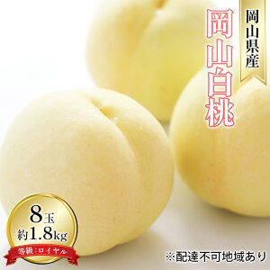 yӂ邳Ɣ[Łz 2025N s\ R  8 1.8kg FCi1 220gȏj   RY Y t[c ʕ Mtg @͂F2026N7{`2026N8{