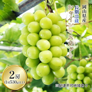 yӂ邳Ɣ[ŁzԂǂ 2025N s\ ① VC }XJbg 2[i1[ 530gȏj uhE  RY Y t[c ʕ Mtg @͂F2025N11{`2025N12{