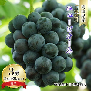 yӂ邳Ɣ[ŁzԂǂ 2026N s\ ƒp j[ sI[l Di 3[i1[ 530gȏ In͔|j uhE  RY Y t[c ʕ @͂F2026N9{`2026N10{