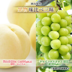 yӂ邳Ɣ[Łz Ԃǂ 2026N s\ ʕ ׎O R  2 FCi1220gȏj VC }XJbg  1[ 380gȏ l   RY Y t[c 