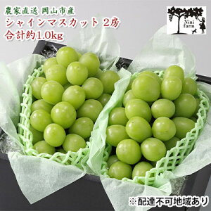 yӂ邳Ɣ[ŁzԂǂ 2025N s\ yϓx20xz _Ƃ VC }XJbg 2[ v1.0kg NX uhE  RY Y t[c ʕ Mtg y Nini farm _ 