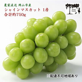 【ふるさと納税】ぶどう 2026年 先行予約 【平均糖度20度】農家こだわりの シャイン マスカット 1房 約750g 贈答クラス ブドウ 葡萄 岡山県産 国産 フルーツ 果物 ギフト 【 Nini farm 農家 直送 】 岡山のぶどう デザート　お届け：2026年9月10日～2026年10月25日