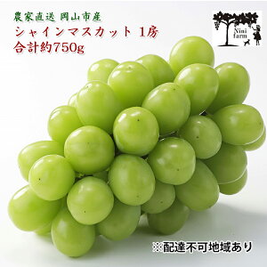 yӂ邳Ɣ[ŁzԂǂ 2025N s\ yϓx20xz_Ƃ VC }XJbg 1[ 750g NX uhE  RY Y t[c ʕ Mtg y Nini farm _  z