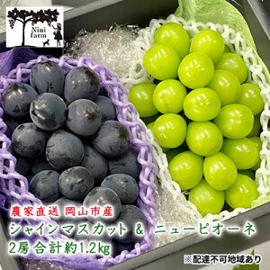 yӂ邳Ɣ[ŁzԂǂ 2026N s\ _Ƃ VC }XJbg  j[ sI[l 2[ v1.2kg NX  RY Y t[c ʕ Mtg y Nini farm _  