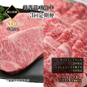 yӂ邳Ɣ[Łzјa  3񔭑 T[CXe[L 400g ×2 Ԃ Ă p 400g ×1 v 1.2kg A4 ȏ t T[C  q R