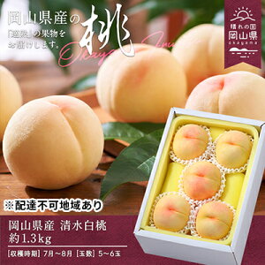 yӂ邳Ɣ[Łz 2026N s\  1.3kg 5`6   RY Y t[c ʕ Mtg@͂F2026N7{`2026N8{