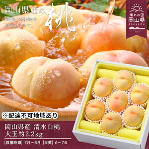 yӂ邳Ɣ[Łz 2026N s\  2.2kg  6`7   RY Y t[c ʕ Mtg @͂F2026N7{`2026N8{