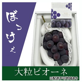 【ふるさと納税】ぶどう 2026年 先行予約 ぼっけえ大粒ニューピオーネ1房(800g以上) 化粧箱入り ブドウ 葡萄 岡山県産 国産 フルーツ 果物 ギフト 　お届け：2026年9月中旬～2026年10月中旬