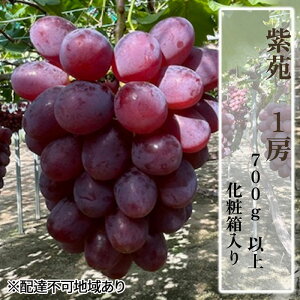 yӂ邳Ɣ[ŁzԂǂ 2025N s\ 1[i700gȏjϔ uhE  RY Y t[c ʕ Mtg @͂F2025N11{`2025N11{