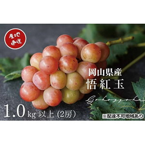 yӂ邳Ɣ[ŁzԂǂ g Sr[ 2[ v1.0kgȏ Yn ̂ Ԃǂ  R Kawahara Green Farm2025N @͂F2025N8{`2025N9{