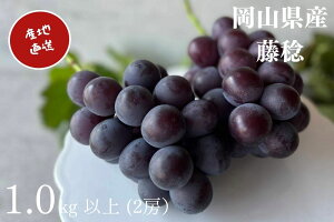 yӂ邳Ɣ[ŁzԂǂ  2[ v1.0kgȏ Yn ̂ Ԃǂ  R Kawahara Green Farm RY 2026N @͂F2026N81 `2026N820