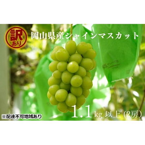yӂ邳Ɣ[Łz󂠂 VC}XJbg 2[ v1.1kgȏ Yn ̂ Ԃǂ  VC }XJbg R Kawahara Green Farm2025N @͂F2025N9{`2025N10{