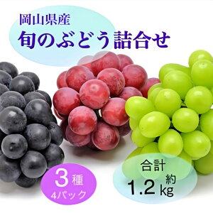 yӂ邳Ɣ[ŁzԂǂ 2025N s\ {̂Ԃǂl 34pbNZbg(j[sI[l1[300g×1PAVC}XJbg1[300g×2PA{̂ԂǂC1[300g×1P)@͂F2025N