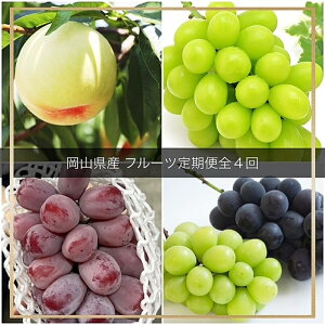 �y�ӂ邳�Ɣ[�Łz�y2026�N ��s�\�� �z����̍� ���R �� �t���[�c ����� 4��R�[�X ���R���Y ���� �Ԃǂ� �� �Ȃ��@���͂��F2026�N9����{�`2026�N12�����{