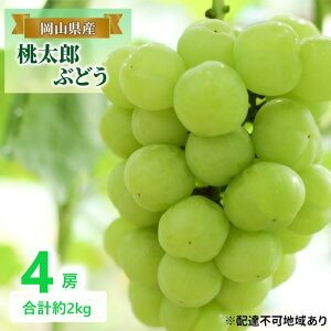 yӂ邳Ɣ[ŁzԂǂ y2025N tz YԂǂ 4[ v2kg uhE  RY Y t[c ʕ Mtg@͂F2025N820`2025N1020