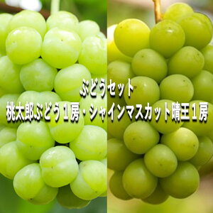 yӂ邳Ɣ[ŁzԂǂ y2025N tz ԂǂZbg YԂǂ 1[E VC}XJbg  1[iv1kgj uhE  RY Y t[c ʕ Mtg@͂F2025N8