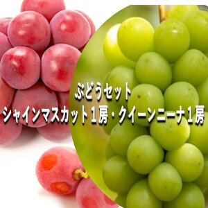 yӂ邳Ɣ[ŁzԂǂ y2025N tz ԂǂZbg VC}XJbg 1[E NC[j[i 1[iv1kgj uhE  RY Y t[c ʕ Mtg@͂F2025N820