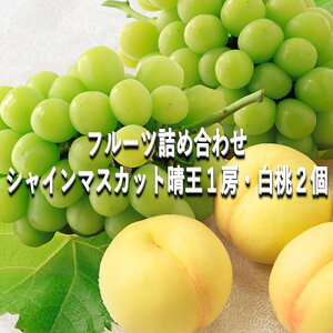 yӂ邳Ɣ[Łz Ԃǂ y2026N tz t[clߍ킹 VC}XJbg  1[E  2  uhE  RY Y t[c ʕ Mtg@͂F2026N720`2