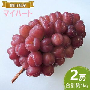 yӂ邳Ɣ[ŁzԂǂ y2025N tz }Cn[g 2[ v1kg uhE  RY Y t[c ʕ Mtg@͂F2025N925`2025N1025