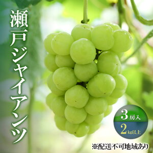 【ふるさと納税】ぶどう 2026年 先行予約 瀬戸ジャイアンツ 3房(合計2kg以上) ブドウ 葡萄 岡山県産 国産 フルーツ 果物 ギフト 河本農園 お届け:2026年9月上旬〜2026年9月30日まで