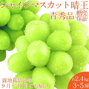yӂ邳Ɣ[Łzy2025N \tz VC}XJbg  2.4kg(3`5[) 9`10o/ RY 햳 炲ƐHׂ ݂݂ tbV ̍  ʕ卑 ʔ؉