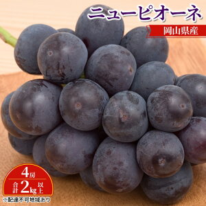 yӂ邳Ɣ[ŁzԂǂ y2025N s\z j[ sI[l 4[ v2kgȏ uhE  RY Y t[c ʕ Mtg@͂F2025N8{`2025N10{