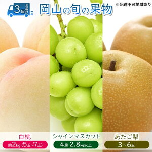 yӂ邳Ɣ[Łzt[c  y2026N s\z  Ԃǂ  3񂨓͂  2kgi5ʁ`7ʁj VC}XJbg 4[2.8kgȏ  (3`6) RY Y Zbg Mtg@