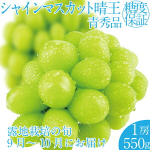yӂ邳Ɣ[Łz2025N s\t VC}XJbg1[ 550g RY 햳 炲ƐHׂ ݂݂ Â tbV ˓ ̍  ʕ卑 nmt[c