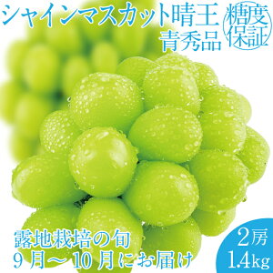 yӂ邳Ɣ[Łz2025N s\t VC}XJbg2[ 1.4kg RY 햳 炲ƐHׂ ݂݂ Â tbV ˓ ̍  ʕ卑 nmt[c