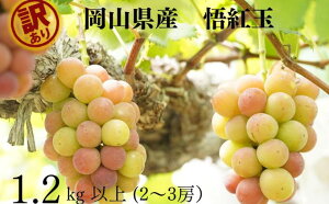 yӂ邳Ɣ[Łz󂠂 g Sr[@2`3[ v1.2kgȏ Yn ̂ Ԃǂ  R Kawahara Green Farm RY 2025@͂F2025N8{`2025N9{܂