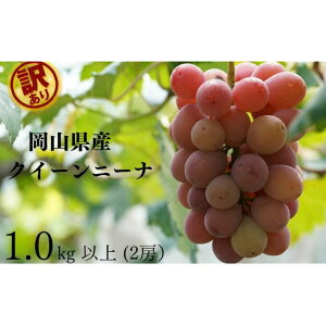 yӂ邳Ɣ[Łz󂠂@NC[j[i@2[ v1.0kgȏ Yn ̂ Ԃǂ  R Kawahara Green Farm RY 2025@͂F2025N8{`2025N9{܂